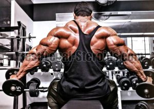 muscle-steroids